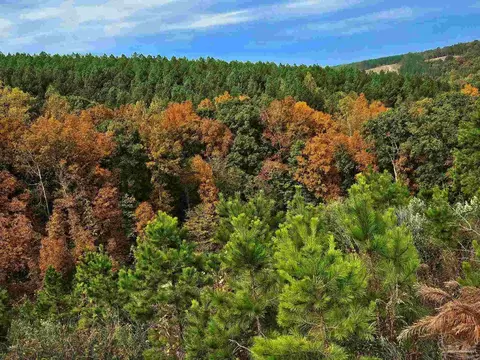 0 County Rd 79, Waterloo, AL 36577 photo 6