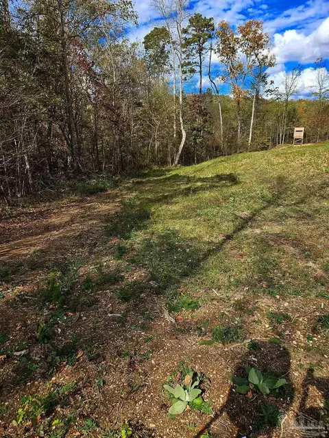 0 County Rd 79, Waterloo, AL 36577 photo 34