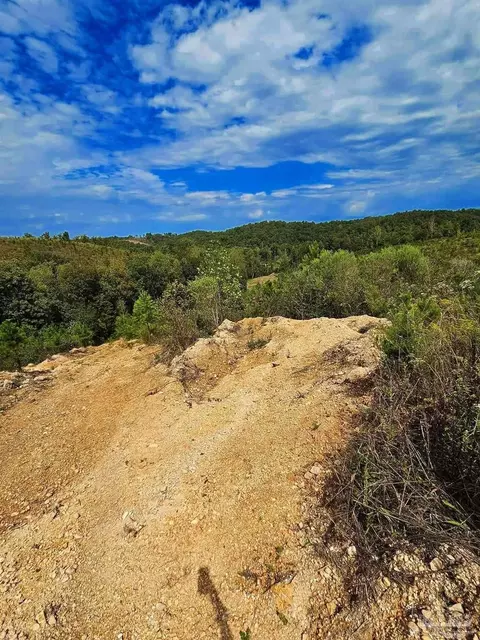 0 County Rd 79, Waterloo, AL 36577 photo 28