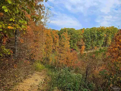 0 County Rd 79, Waterloo, AL 36577 photo 3