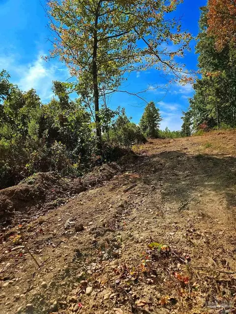 0 County Rd 79, Waterloo, AL 36577 photo 35