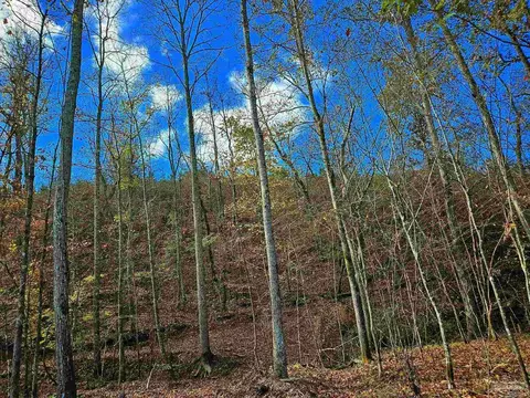 0 County Rd 79, Waterloo, AL 36577 photo 4