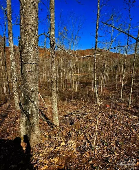 0 County Rd 79, Waterloo, AL 36577 photo 25