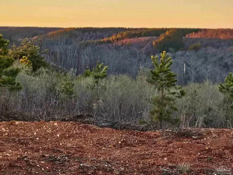 0 County Rd 79, Waterloo, AL 36577 photo 5
