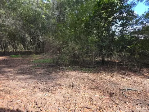 5316 Yancy Dr, Pace, FL 32571 photo 41