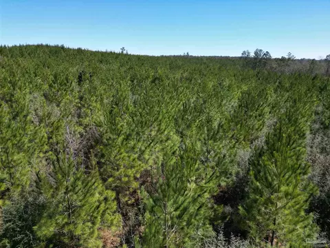 4 Robinsonville Rd, Atmore, AL 36502