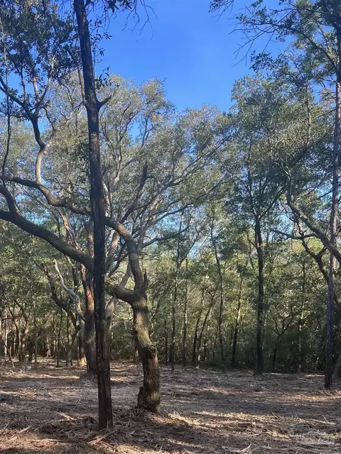 9499 Cornfield Way, Milton, FL 32583