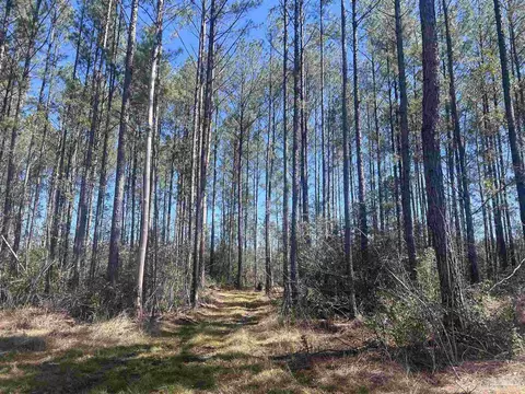 00 Robinsonville Rd, Atmore, AL 36502