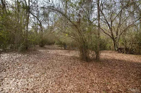 Exterior - 6475 Chestnut Rd, Molino, FL 32577 photo 16 of 32