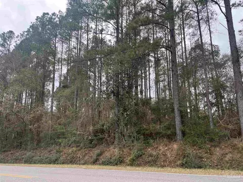 3000 N Block N Pine Barren Rd, Mcdavid, FL 32568 photo 4
