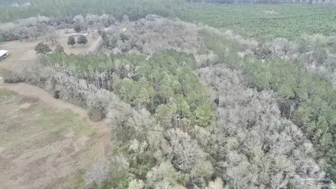 3000 N Block N Pine Barren Rd, Mcdavid, FL 32568 photo 16