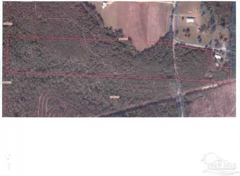 3000 N Block N Pine Barren Rd, Mcdavid, FL 32568 photo 22