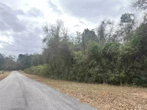 3000 N Block N Pine Barren Rd, Mcdavid, FL 32568 photo 2
