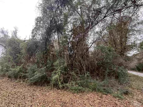 3000 N Block N Pine Barren Rd, Mcdavid, FL 32568 photo 5