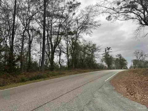 3000 N Block N Pine Barren Rd, Mcdavid, FL 32568 photo 6