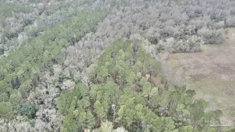 3000 N Block N Pine Barren Rd, Mcdavid, FL 32568 photo 12