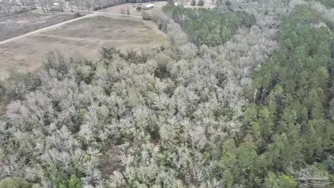 3000 N Block N Pine Barren Rd, Mcdavid, FL 32568 photo 13