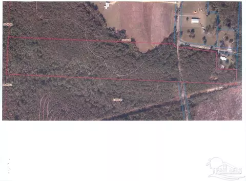 3000 N Block N Pine Barren Rd, Mcdavid, FL 32568 photo 7