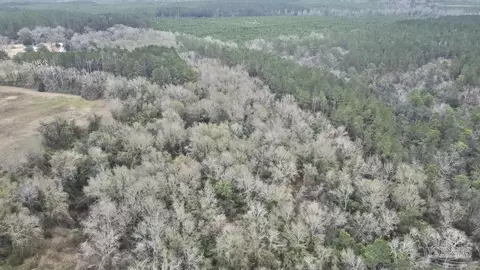 3000 N Block N Pine Barren Rd, Mcdavid, FL 32568 photo 18