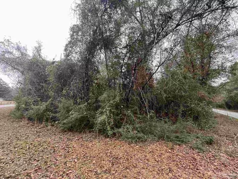 3000 N Block N Pine Barren Rd, Mcdavid, FL 32568 photo 3