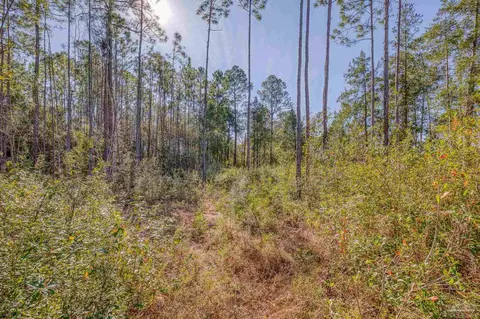 01 Petersen Pt Rd, Milton, FL 32583 photo 15