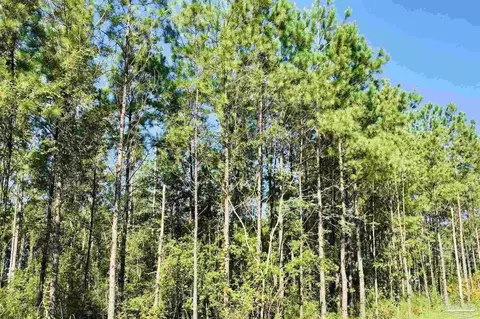 3142 Shearing Rd, Pace, FL 32571 photo 2