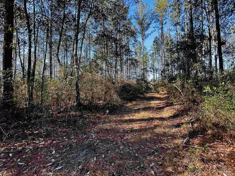 lot407 Country Mill Rd, Jay, FL 32565