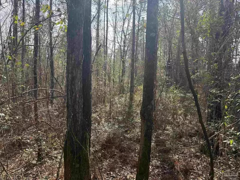 00 Hwy 41, Range, AL 36473
