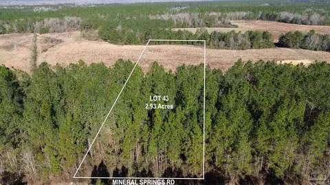 lot43 Mineral Springs Rd, Jay, FL 32565