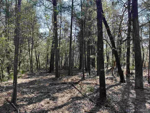 3700 Vantage Rd, Cantonment, FL 32533 photo 4