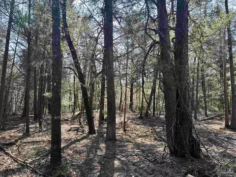 3700 Vantage Rd, Cantonment, FL 32533 photo 3