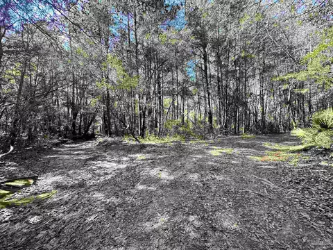 3700 Vantage Rd, Cantonment, FL 32533 photo 22