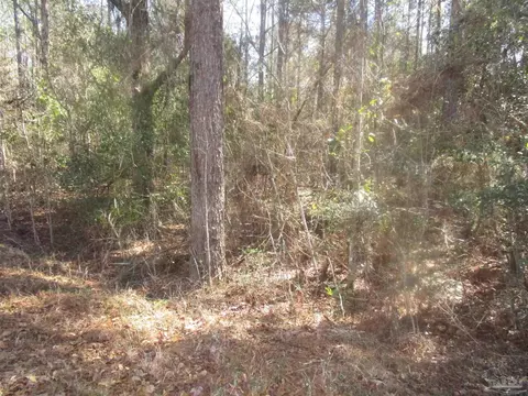 0 Yellow River Log Lake Rd, Holt, FL 32564
