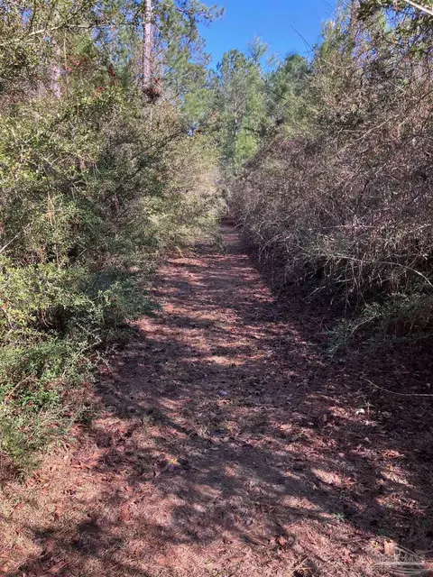 2462 Ten Mile Rd, Pace, FL 32571 photo 4