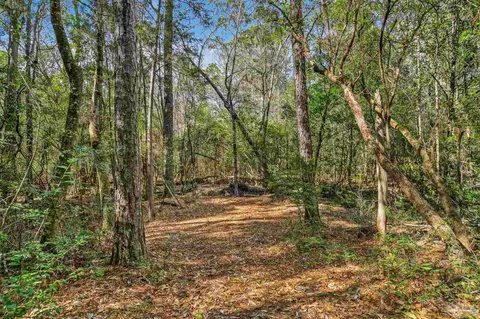 Other - 2248 Wallace Lake Rd, Pace, FL 32571 photo 18 of 20