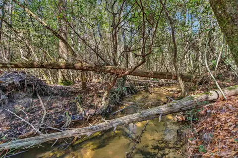 Other - 2248 Wallace Lake Rd, Pace, FL 32571 photo 20 of 20