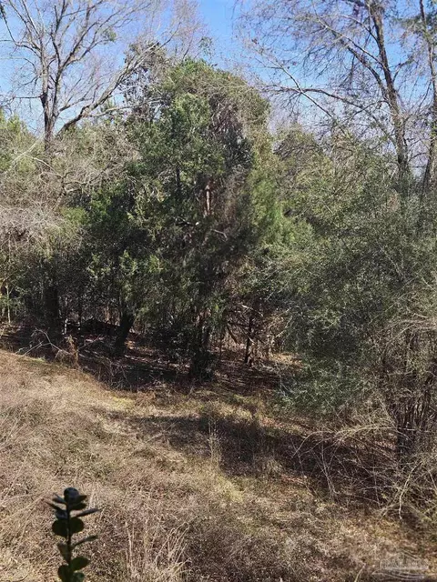Other - 2779 Nelsontown Rd, Jay, FL 32565 photo 4 of 6