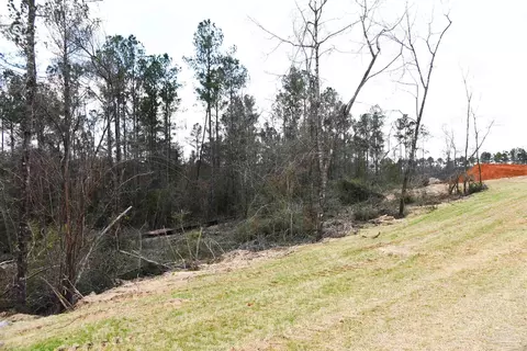 lot1 Creek Bluff Dr, Pace, FL 32571 photo 3