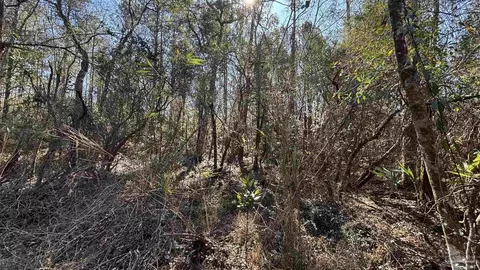 lot22 Creek Bluff Dr, Pace, FL 32571 photo 8