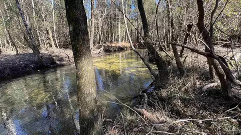 lot22 Creek Bluff Dr, Pace, FL 32571 photo 2