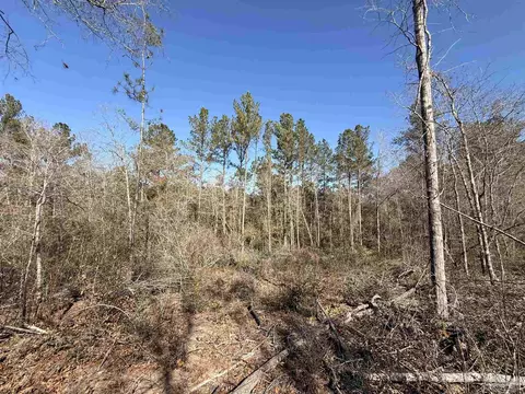 lot22 Creek Bluff Dr, Pace, FL 32571 photo 10