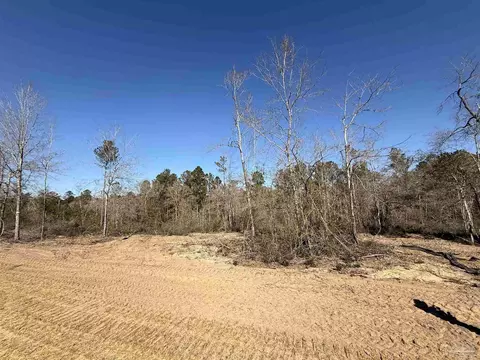 lot22 Creek Bluff Dr, Pace, FL 32571 photo 9