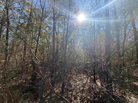 lot3 Creek Bluff Dr, Pace, FL 32571 photo 3