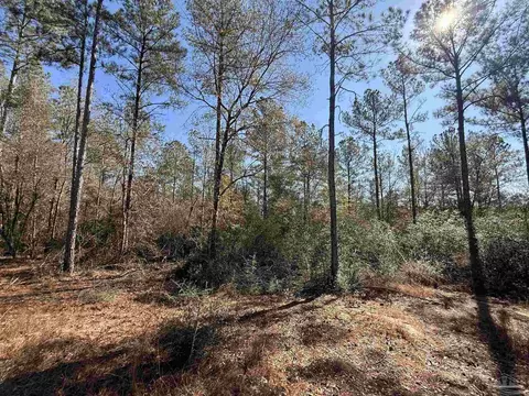 lot3 Creek Bluff Dr, Pace, FL 32571 photo 2