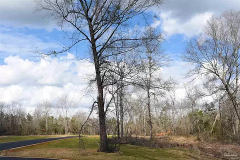 lot11 Brook Crossing St, Pace, FL 32571 photo 5