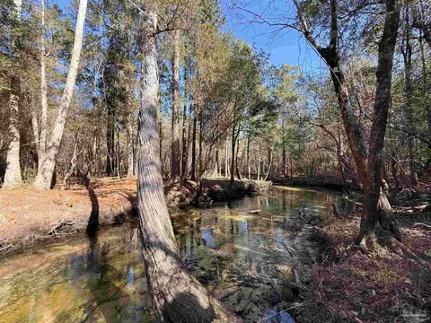 lot11 Brook Crossing St, Pace, FL 32571 photo 7