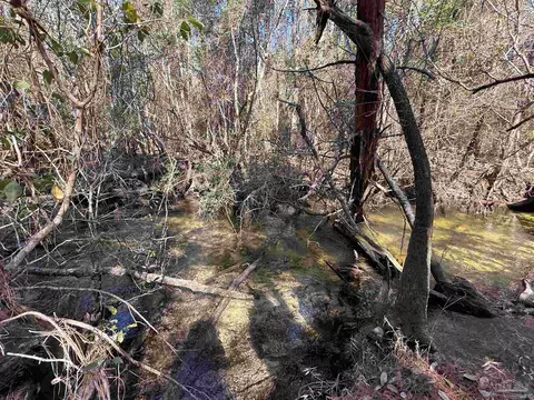 lot8 Creek Bluff Dr, Pace, FL 32571 photo 11