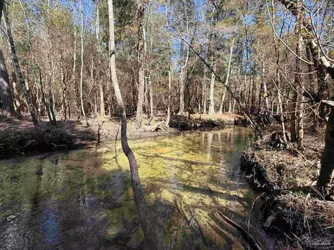lot8 Creek Bluff Dr, Pace, FL 32571 photo 12