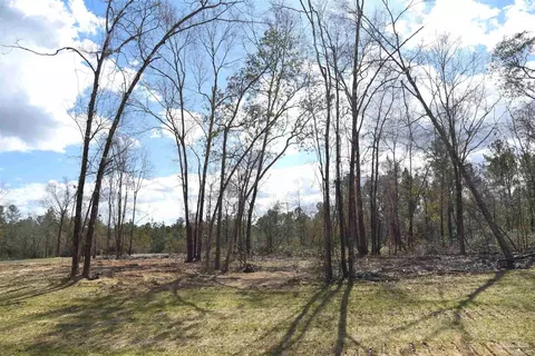 lot8 Creek Bluff Dr, Pace, FL 32571 photo 2
