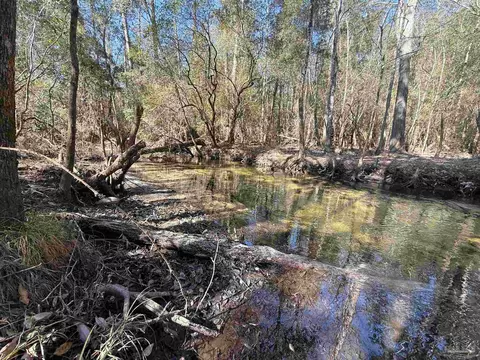 lot21 Creek Bluff Dr, Pace, FL 32571 photo 7